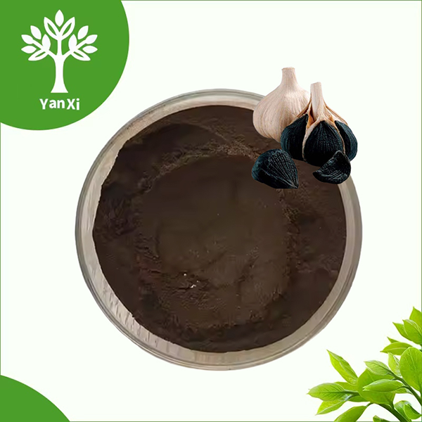 Black Garlic Extract Powder Black Garlic Extract Powder
